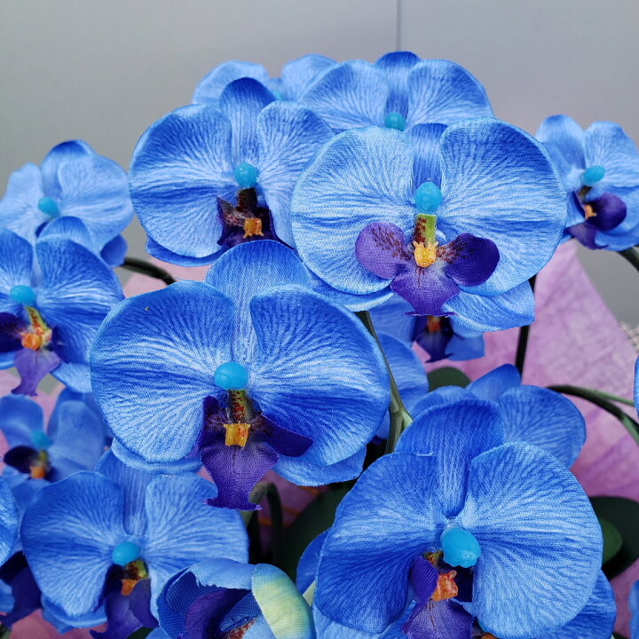 楽天市場】胡蝶蘭S/5F/ブルー（造花）高約50×幅40 光触媒 アーティ 