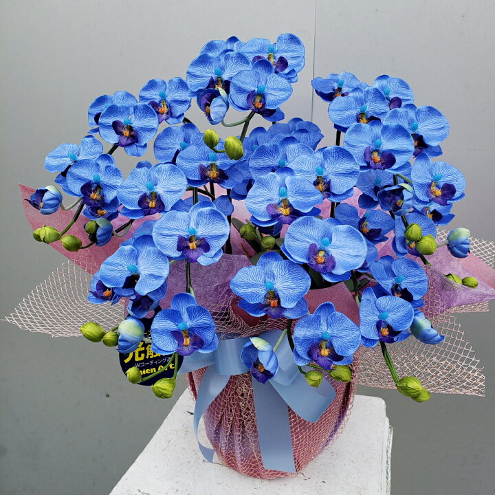 楽天市場】胡蝶蘭S/5F/ブルー（造花）高約50×幅40 光触媒 アーティ 