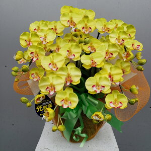 �Ӓ���S/5F/���C�g�C�G���[�i���ԁj����50×��40�@���G�}�@�A�[�e�B�t�B�b�V�����@�A�[�g�t�����[�@�J�Əj���@�J�X�j���@�J�@�j���@���i�j���@�ԁ@�t�����[�@�����z���j���@���j��