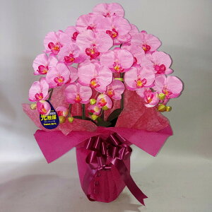 ӒM3F/ԁEsNE 70×40EG}