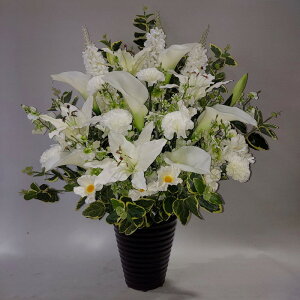 /d@ԁEBT31@80×55/G}@͂Ȃ@@zCg@ԁ@@~