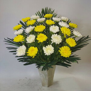 eEeEeiԁjNo5EԁE70×55