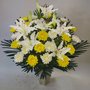 eEeEiԁjEԁiE֋ej70×55