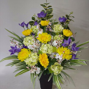 ԁANo8Ej[eMIXE60×40EG}