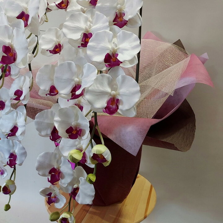 楽天市場】胡蝶蘭DXL/白紫/5F/（造花）約高85×幅50.光触媒 アーティ 