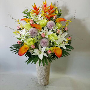 �w���R�j�A���M�K���W���E�������S��MIX�y���ԁz�yR12�z��110×��65�E�i���ԁj���G�}