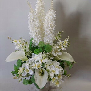 fqBjEftAJ[MIXAW()yR11z80×50iԁjG}@A[gt[@A[eBtBbV@a@j@JXj@j@D