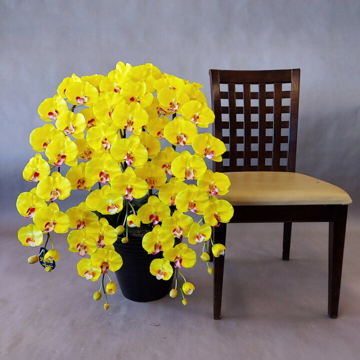 胡蝶蘭-黄L 3F 高さ90cm×巾50cm 造花・光触媒コーティング