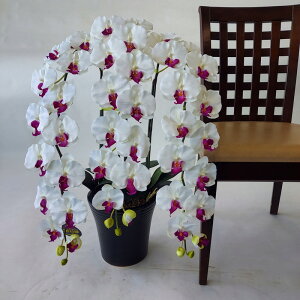 ӒDXL//3FiԁjKi@80×40/G}@A[gt[@A[eBtBVt[@j@a@JXj@J@j@JƁ@ij@AC@v[gMtg@