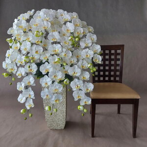 ӒL//10FiԁjKi@110×80 /G}@JXj@J@j@JƏj@GgX@tr[@A[eBtBVt[@A[gt[@tFCN@D@^