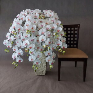 ӒL//10F/()E110×70 G}@A[gt[@A[eBtBVt[@tFCN@JXj@JƁ@J@@j@^Ӓ@^AW@j@r[@t@G