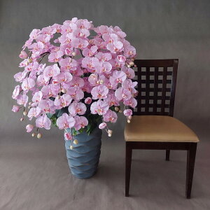 ӒL/CgsN/10F() 110×70@G}@A[eBtBVt[@A[gt[@tFCN@JXj@JƏj@J@j@GgX@tr[@D@