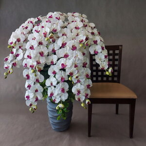 ӒL/bv/10F/()E110×70@JXj@J@j@JƏj@GgX@t@r[@Mtg ^Ӓ@^AW@D@A[gt[@A[eBtBV