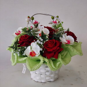 ӒoMIXioXPbgjiԁjKi@25×28 /G}