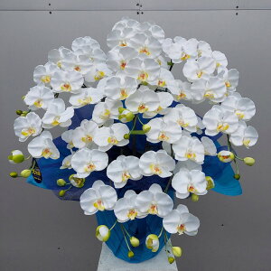 胡蝶蘭L・7本立【白黄】【造花】約高70・幅60・光触媒