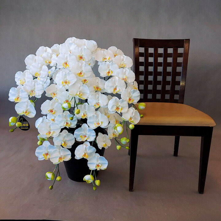 楽天市場】胡蝶蘭L/5F【白黄】【造花】約高80・幅50 光触媒 5本立 