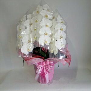 ԁ@Ӓ@7050@bsO@JXj@J@j@a@j@Mtg@v[g