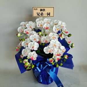 pdlEӒ@SNX@@5{iԁj45×35EG}