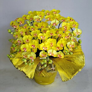 PjEӒS5EԁE45×35EG}E