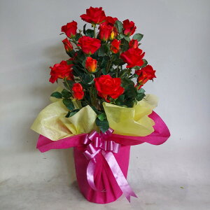 造花アーティフィシャルバラ(大輪)-赤1株立 高さ75cm×巾40cm造花・光触媒 お誕生日 開店祝い プレゼントギフト アートフラワー アーティフィシャルフラワー フェイクグリーン