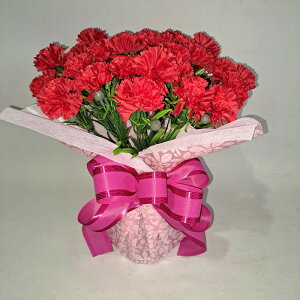 ̓J[l[V@@@@@@@@@@@(35×25)yG}z