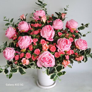 OsNMIXAWԁE60×60 ̓ a A[gt[G}