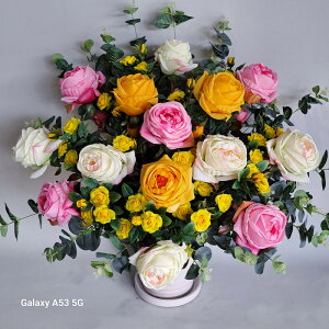 OEԁEsNMIXAW/ԁE65×65