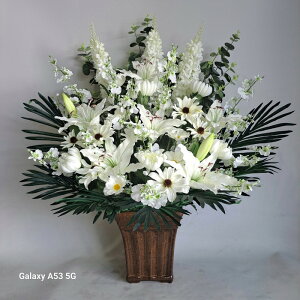 MIX@ԁ@BTU48(85×40jyG}z@ԁ@~@͂Ȃ@A[gt[@e@@zCgAW