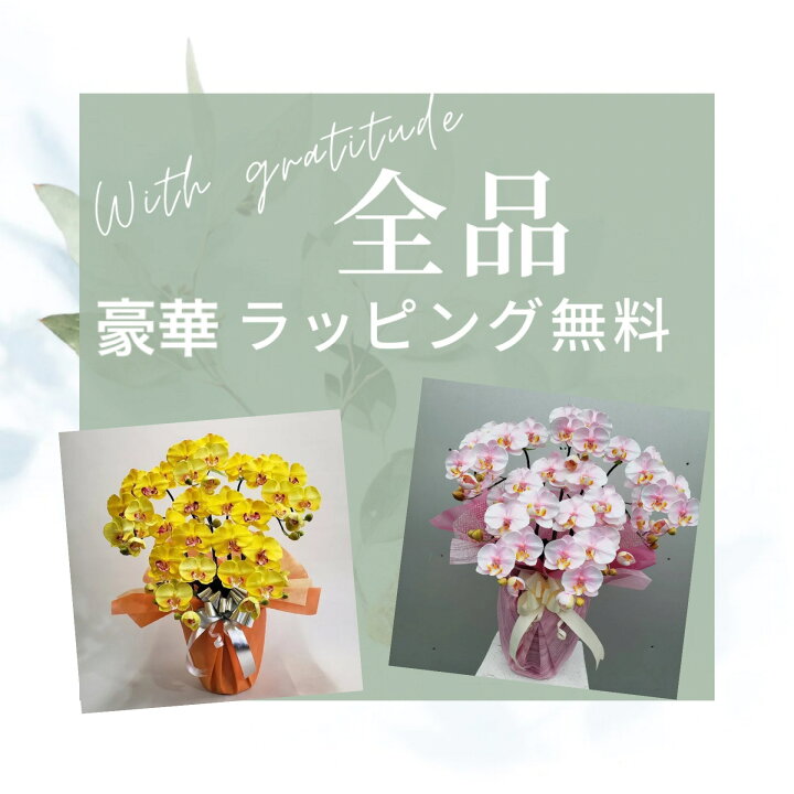 楽天市場】胡蝶蘭L/ピンクロング/5F(造花)高さ80cm×巾50cm造花・光触媒 
