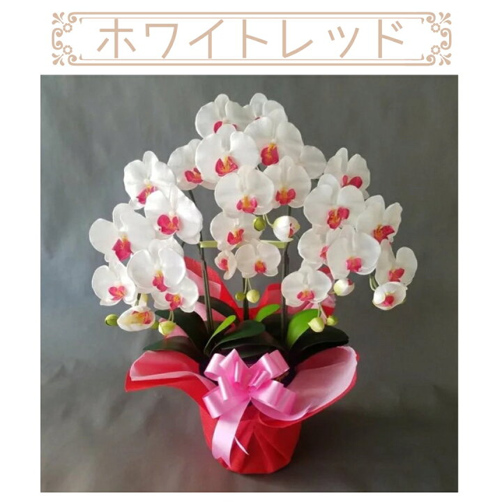 楽天市場】胡蝶蘭-3本立高さ70cm×巾40cm造花・光触媒 : 愛フラワー 