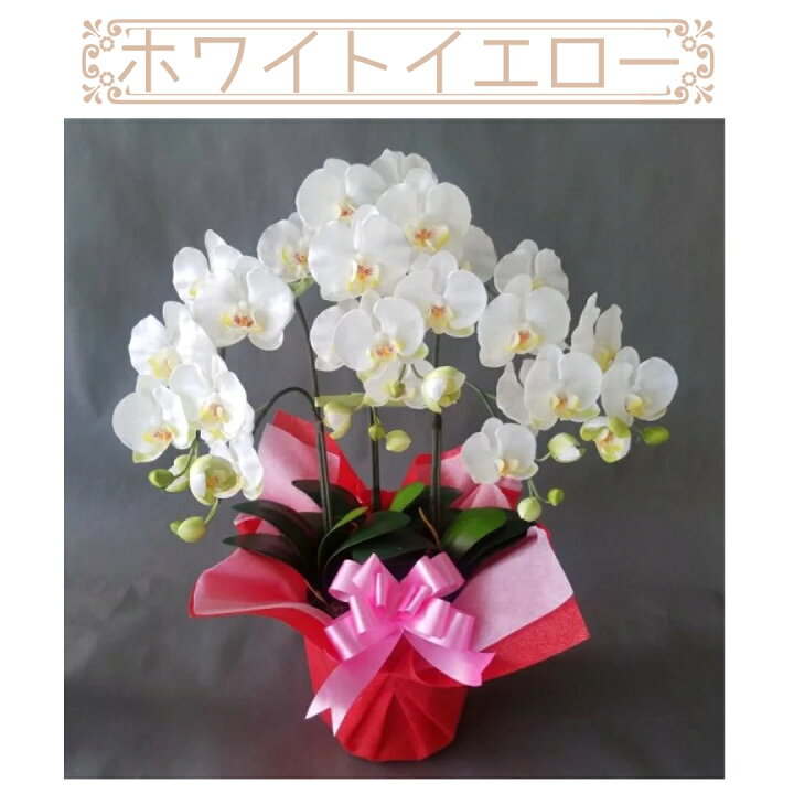 楽天市場】胡蝶蘭-3本立高さ70cm×巾40cm造花・光触媒 : 愛フラワー 