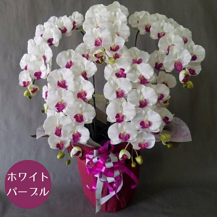 楽天市場】胡蝶蘭L/5本立 造花（高90×幅60)光触媒 アーティフィシャル 