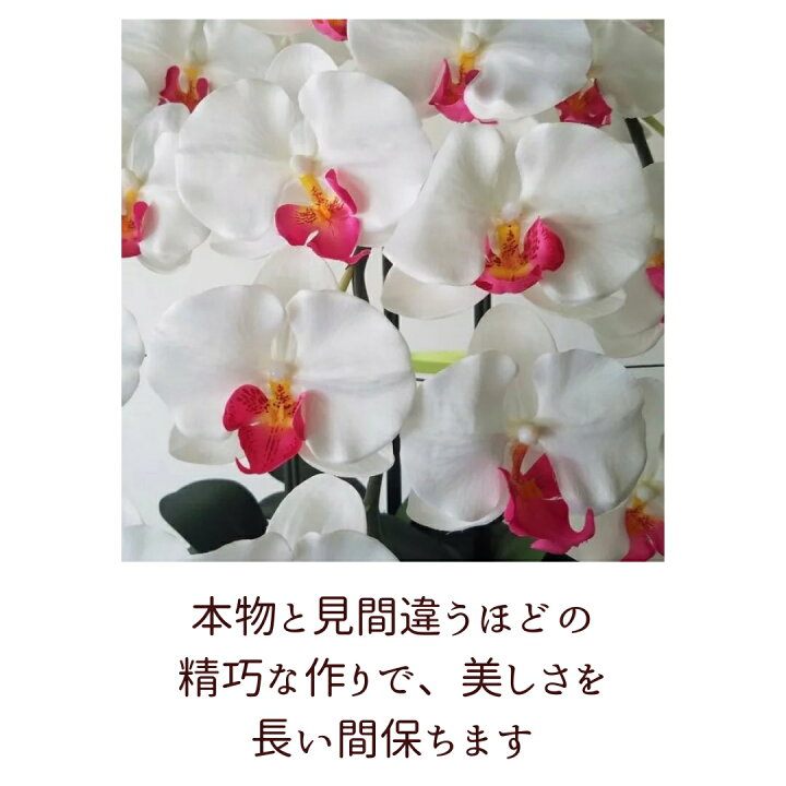 楽天市場】胡蝶蘭S-10F高さ60cm×巾55cm造花・光触媒 開店祝い 開業祝い 