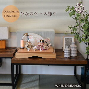 l` P[X _@ꂢ e@ l @ЂȂ ЂȍՂ  AN CeA  Ԍ45cm i` fG ꂢ 킢 yЂȂ̃P[Xz 0