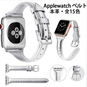 Apple Watch e@Ή xg FXIׂS15F 38mm 40mm 41mm 42mm 44mm 45mm tȒP poh {v AbvEHb` oh xg rvoh Abv EHb` xg U[o