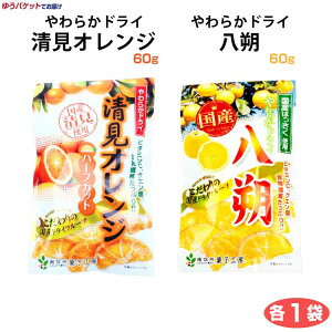 南信州菓子工房 やわらかドライ 国産100%清見オレンジ 使用60g 国産100%八朔使用 60g ドライフルーツ オレンジ はっさく 長野土産 【ゆうパケット】