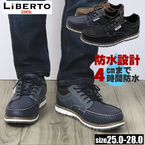 [ [xg GhEB] LIBERTO EDWIN Y h h JWAV[Y RC Xj[J[ No.60654