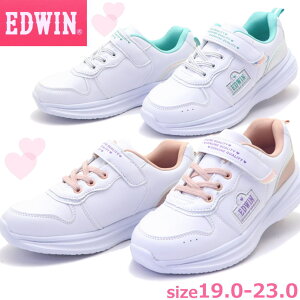 LbY WjA Xj[J[ EDWIN GhEB K[Y ʊw No.3629