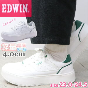 fB[X Xj[J[  EDWIN GhEB y zCg\[ JWA No.4317