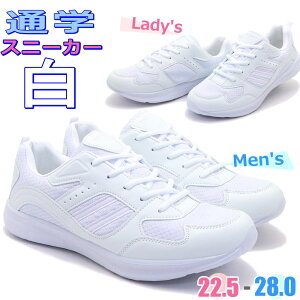 [ u3EvL@Xj[J[ C Y fB[X y Vv ʊw s No1145 5145