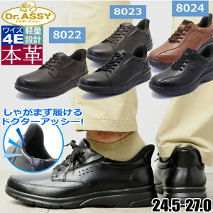 Dr.ASSY XbgEhN^[AbV[ Ⴊ܂ hN^[AbV[ EH[LOV[Y {v  L 4E R ʋC DR8022 DR8023 DR8024