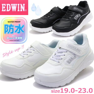 LbY WjA Xj[J[ EDWIN GhEB h K[Y ʊw No.3675