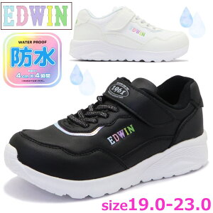 LbY WjA Xj[J[EDWIN GhEB h K[Y [Jbg 킢  RȂ y Jt }WbNe[v xN ʊw No.3677