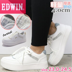 fB[X Xj[J[  EDWIN GhEB y zCg\[ JWA No.4326