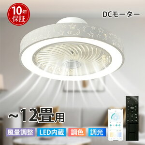 y10Nۏ؁zV[Ot@ V[Ot@Cg LED T[L[^[ V[OCg Px 10 12  F ʒ߉ 铔 t@t Cz Ɩ VƖ ȃGl