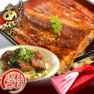  Y イȂ  Mtg Ă 1C Ђ܂Ԃ ȂЂ ^ RiAAkC͒ǉ܂j