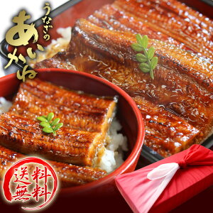 送料無料 国産 特上うなぎ お中元 ギフト 蒲焼き1匹 蒲焼きハーフカット 2袋 タレ 山椒(離島、沖縄、北海道は追加送料がかかります)