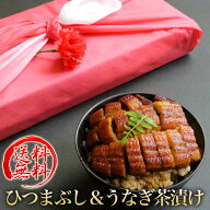 ひつまぶし＆うなぎ茶漬けギフト2個セット浜名湖うなぎのあいかね＜送料無料＞（離島、沖縄、北海道は追…