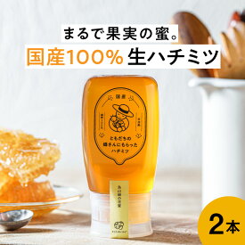 【国産 生はちみつ 非加熱 】 ともだちの蜂さんにもらったハチミツ 蜂蜜 300g ギフト プレゼント 蜂蜜 国産 からだあいかん