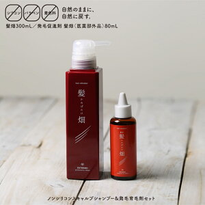 тCɂȂ鏗ցIZbgiVv[GbZXj